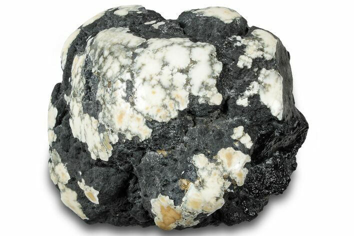 Polished Tick Canyon Howlite Nodule - California #321213